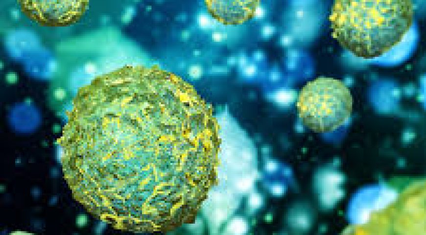 پارچه‌های زیستی چه هستند و چقدر دوام دارند؟