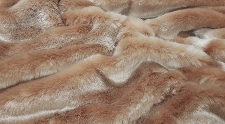 آنچه باید در مورد خز بدانیم (۱)