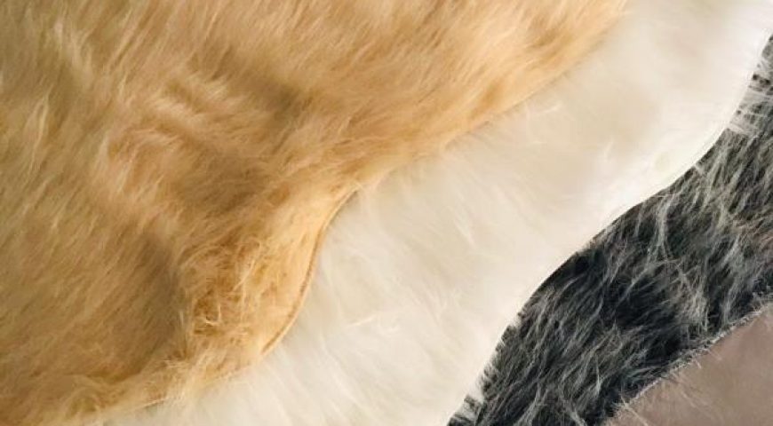 آنچه باید در مورد خز بدانیم (۲)